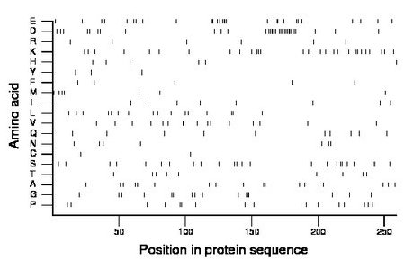 amino acid map