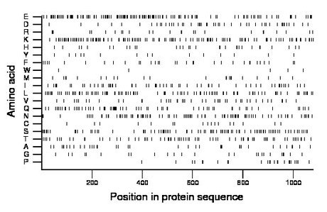 amino acid map