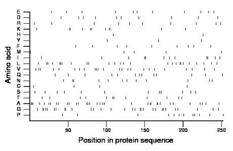 amino acid map