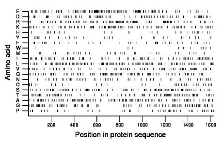 amino acid map