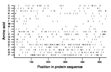 amino acid map