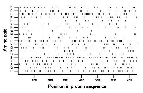 amino acid map