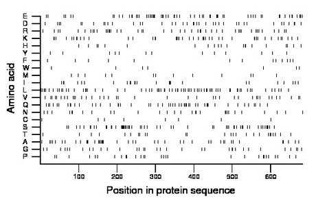 amino acid map