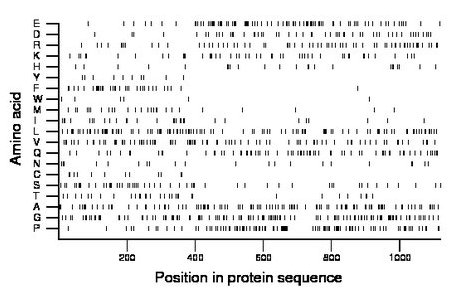 amino acid map