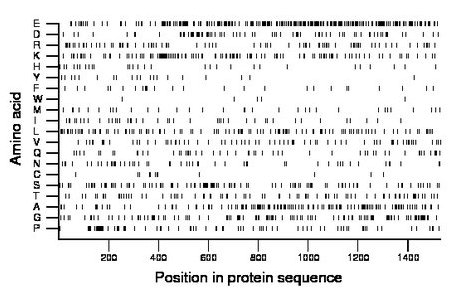 amino acid map