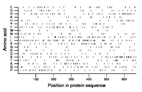 amino acid map