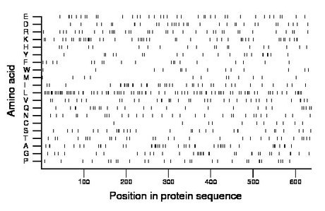 amino acid map