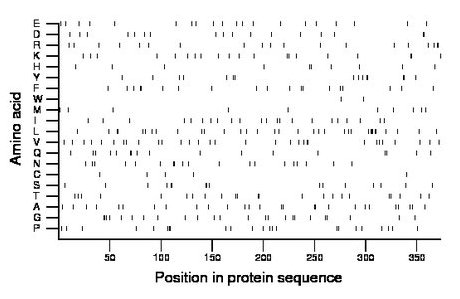 amino acid map