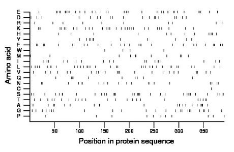 amino acid map