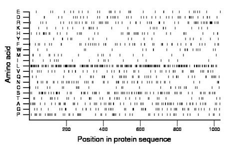 amino acid map