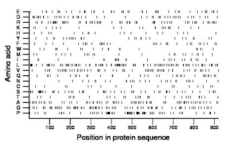 amino acid map