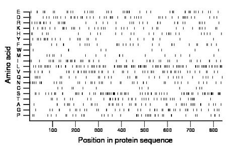 amino acid map