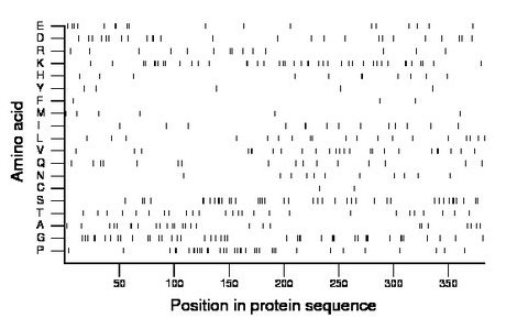 amino acid map