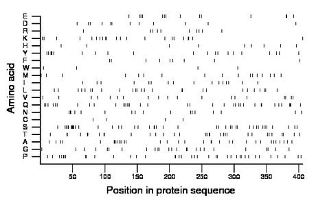 amino acid map