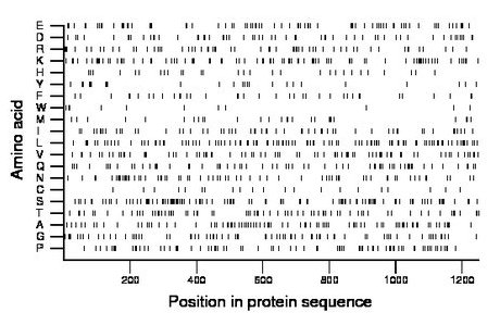 amino acid map