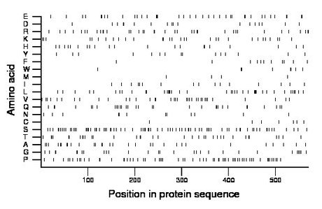 amino acid map