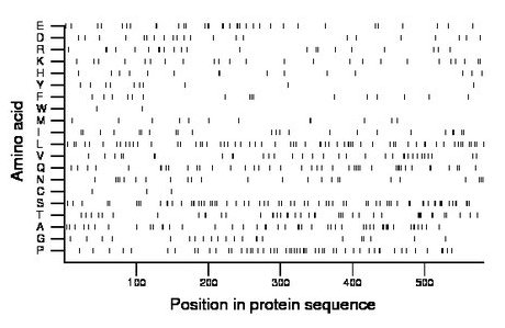 amino acid map