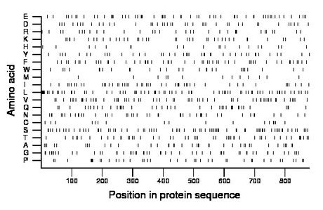 amino acid map