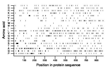 amino acid map