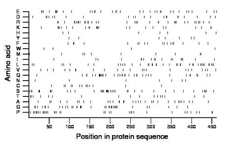 amino acid map