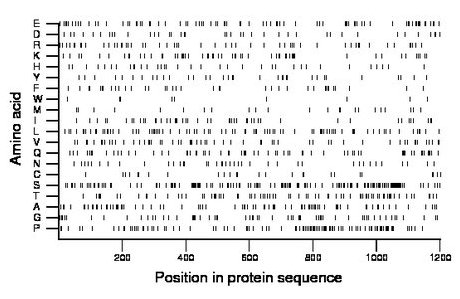 amino acid map