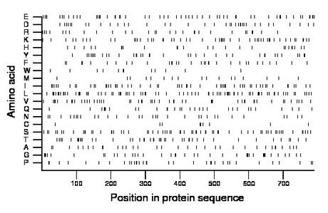 amino acid map