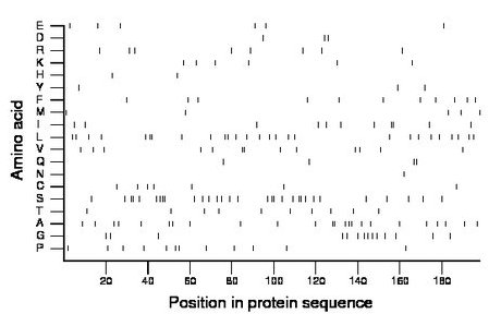 amino acid map