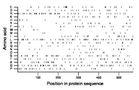 amino acid map