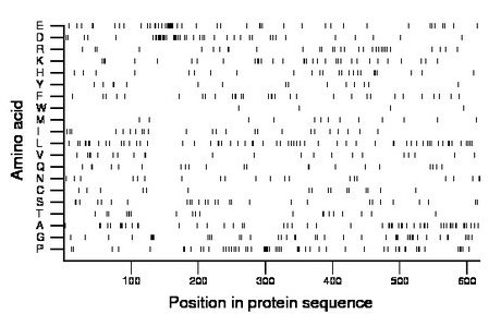 amino acid map