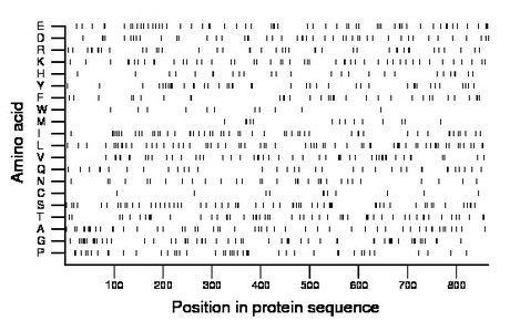 amino acid map