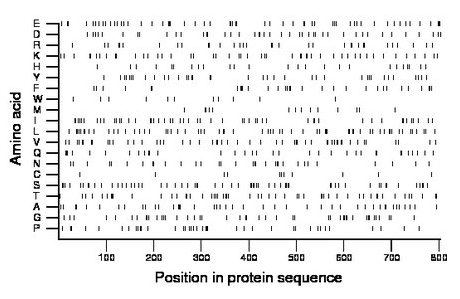 amino acid map