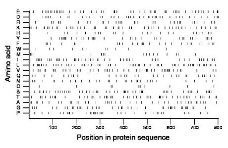 amino acid map