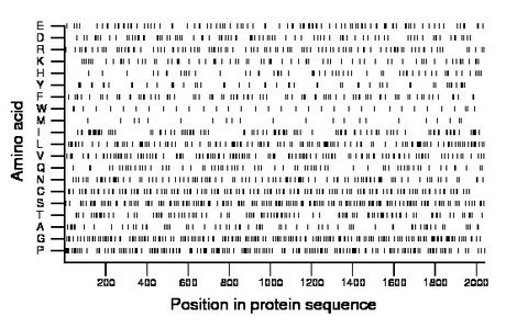 amino acid map