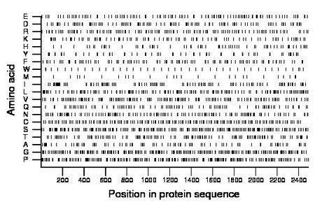 amino acid map