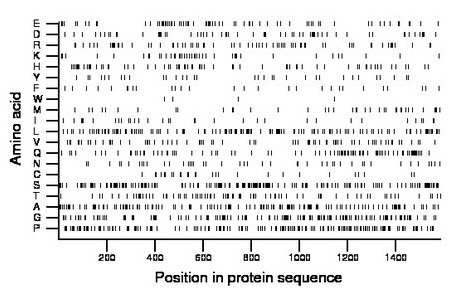 amino acid map