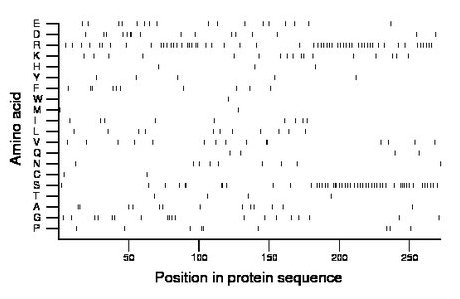 amino acid map