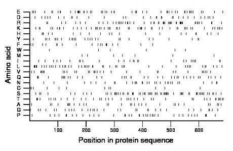 amino acid map