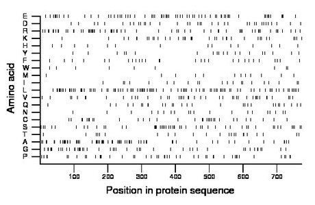 amino acid map