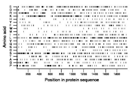 amino acid map