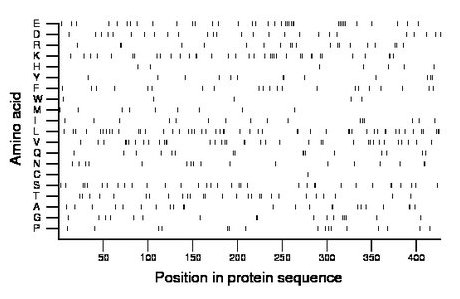 amino acid map