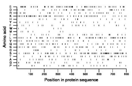 amino acid map