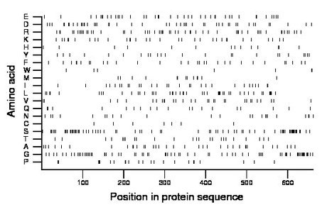 amino acid map