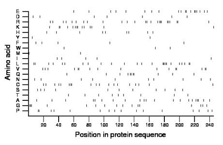 amino acid map