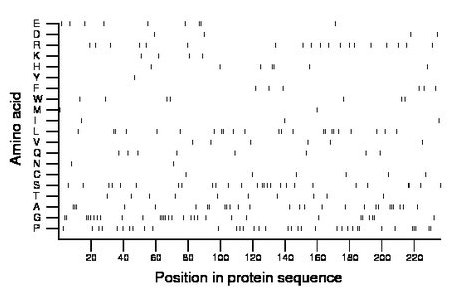 amino acid map