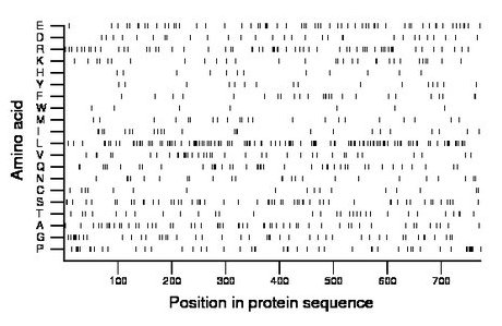 amino acid map