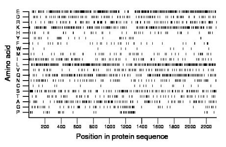 amino acid map