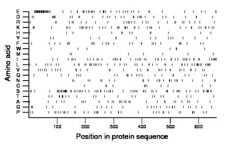 amino acid map