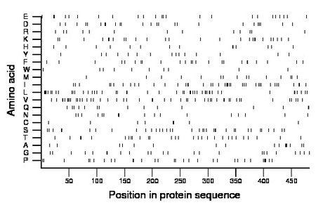 amino acid map