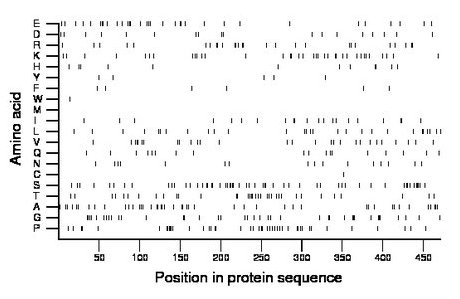 amino acid map