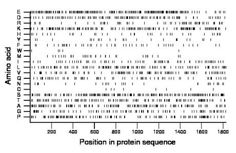 amino acid map